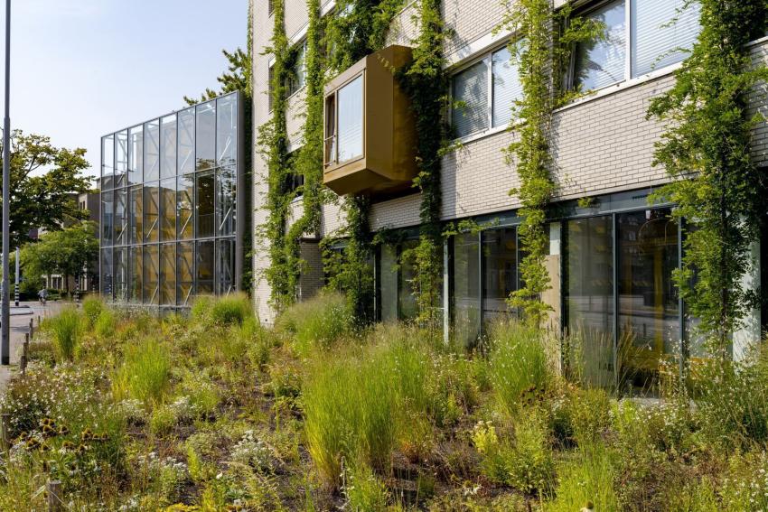 Groene gevel in Eindhoven