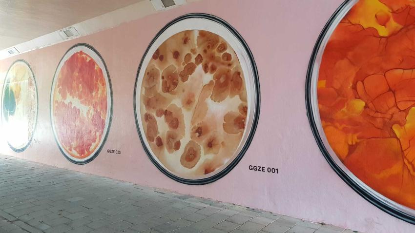 Klik voor een vergroting