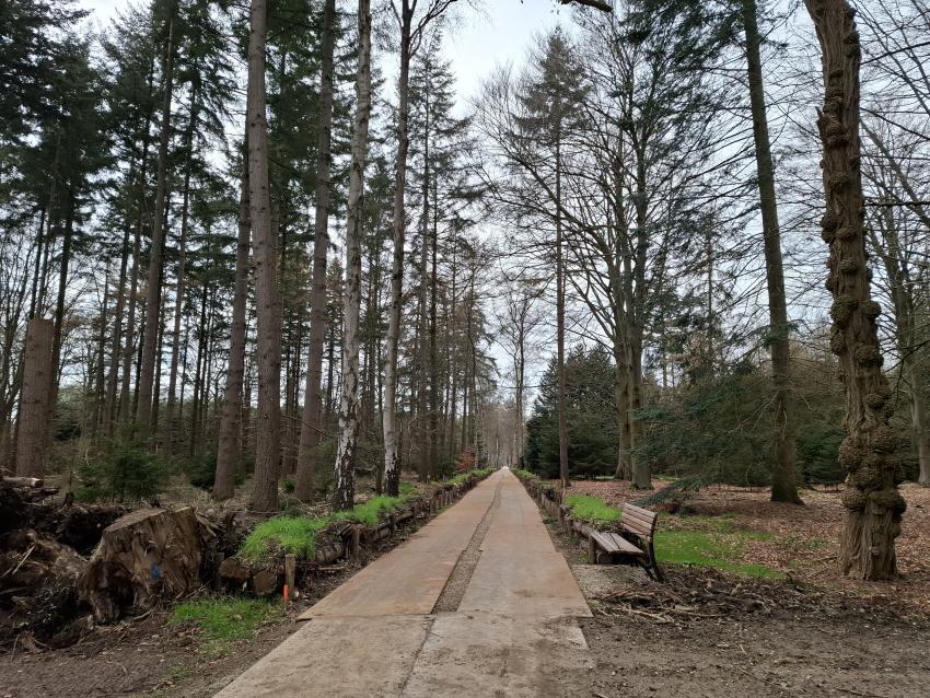 De Wandelroute zonder obstakels, met een bankje langs het pad, klik voor een vergroting