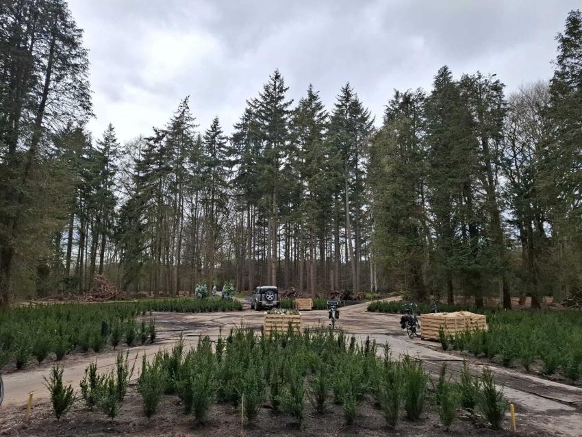 Het Sterrenbos op Landgoed de Wielewaal