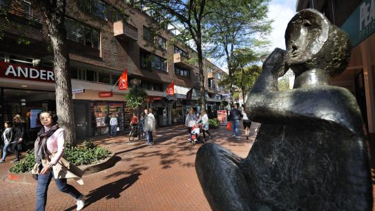 Klik voor een vergroting