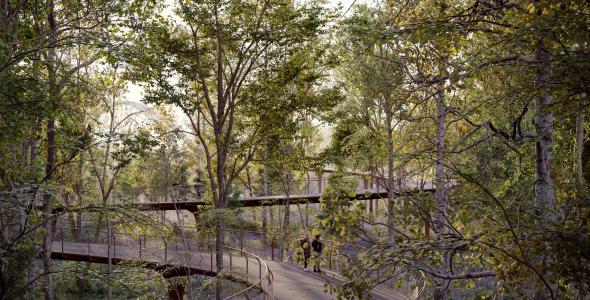 Een sfeerimpressie van het boomtoppenfietspad met fietsers en wandelaars.