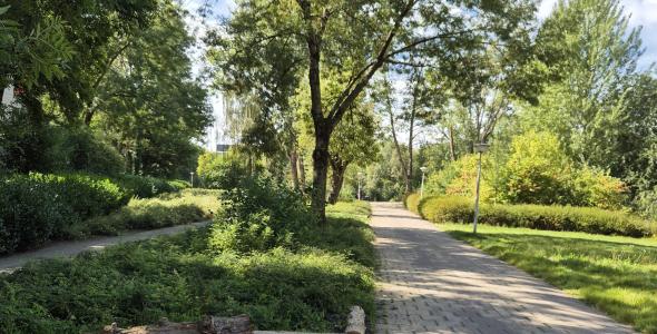 wandel- en fietspad in omgeving van Genderpark