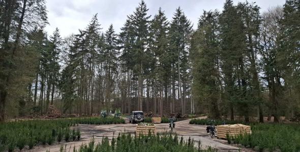 Het Sterrenbos op Landgoed de Wielewaal