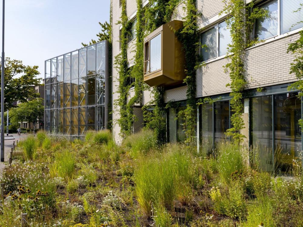 Groene gevel in Eindhoven