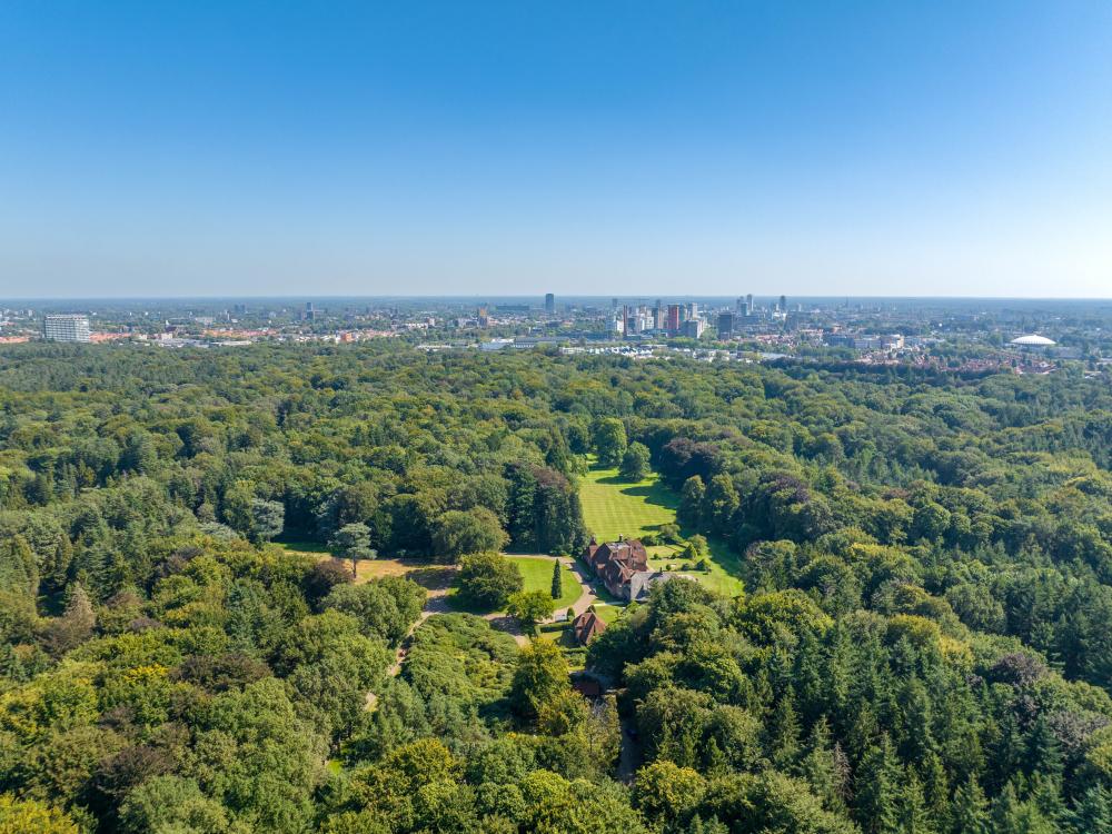 Overzicht van het bos