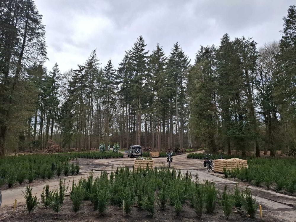 Het Sterrenbos op Landgoed de Wielewaal